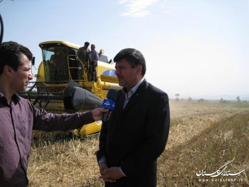جشن شکرگزاری برداشت کلزا با حضور رییس سازمان جهاد کشاورزی برگزار شد