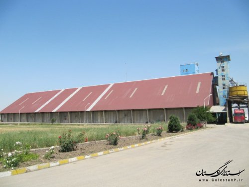 بازدید معاون فرماندار کلاله ازاداره غله و خدمات بازرگانی