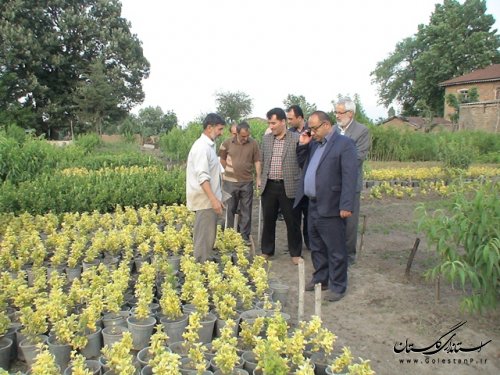بازدید فرماندار علی آباد کتول از پروژه های بنیاد مسکن
