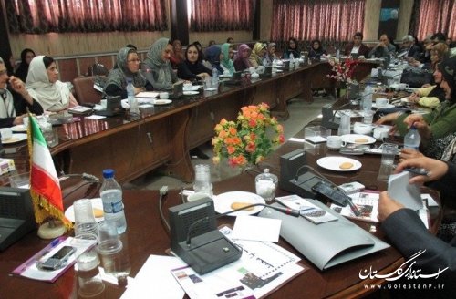 نشست زنان کارآفرین با حضور عضو هیات مدیره انجمن زنان کارآفرین کشور در بندرترکمن