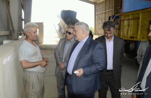 بازدید سرزده استاندار گلستان از مراکز خرید گندم استان 