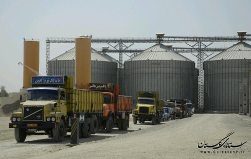 بازدید سرزده استاندار گلستان از مراکز خرید گندم استان 