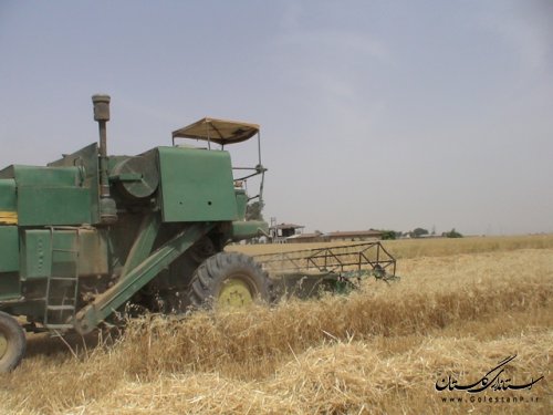 بازدید فرماندار علی آباد کتول از مزارع برداشت گندم و مراکز خرید 
