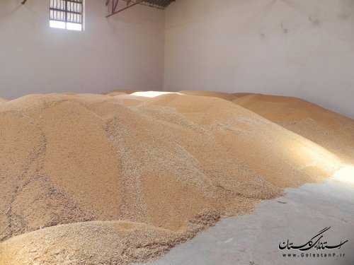 بازدید فرماندار مینودشت از مراکز خرید گندم و ابریشم 