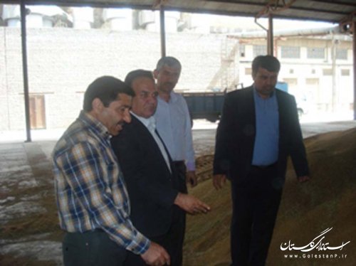 بازدید فرماندار رامیان از مراکز خرید گندم شهرستان 