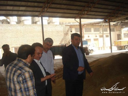 بازدید فرماندار رامیان از مراکز خرید گندم شهرستان 