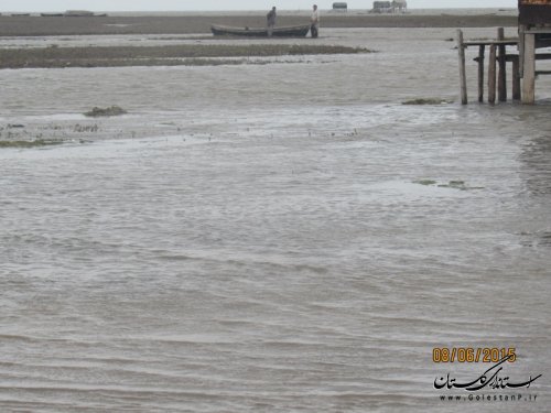 پاکسازی سواحل شهرستان گمیشان با حضور فرماندار 
