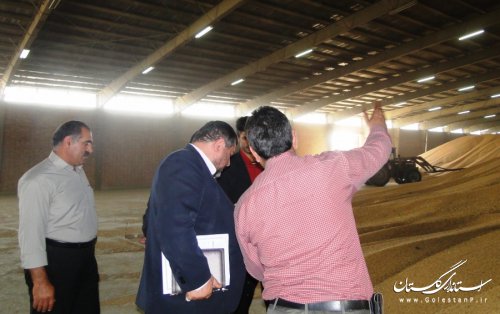 بازدید فرماندار شهرستان آزادشهر از مراکز خرید گندم