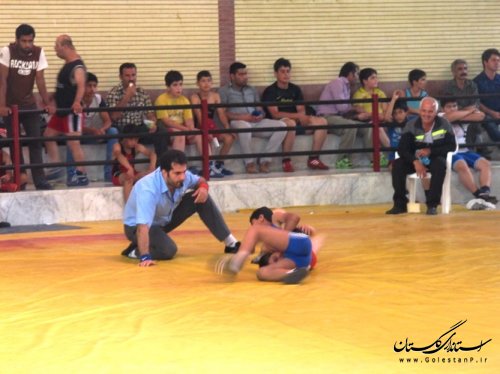 مسابقات کشتی فرنگی نونهالان و نوجوانان انتخابی استان در کردکوی برگزار شد