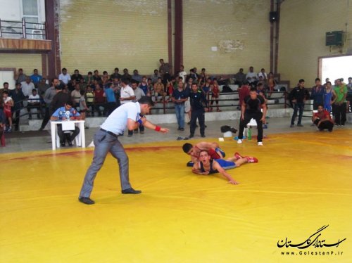 مسابقات کشتی فرنگی نونهالان و نوجوانان انتخابی استان در کردکوی برگزار شد