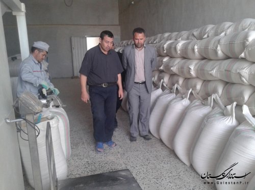 بازدید سرزده فرماندار از مراکز خرید گندم شهرستان مراوه تپه