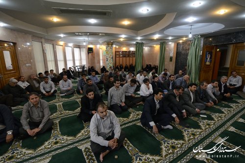 سیره صلح مهمترین بخش سیره امام حسن (ع) است