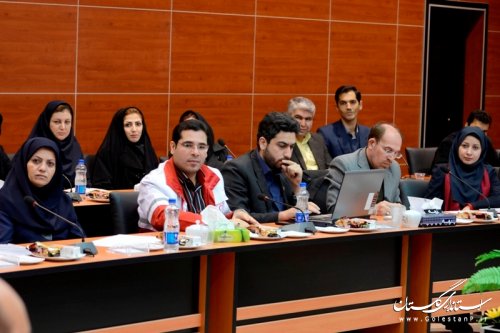 درگذشت عضو شورای مشورتی جوانان استان گلستان
