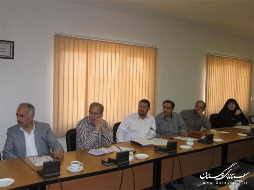 جلسه کارگروه تخصصی اموربانوان و خانواده در فرمانداری ویژه تشکیل شد