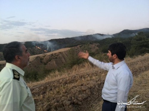 حدود ۸۰ هکتار از اراضی جنگلی شهرستان کلاله دچار حریق شد