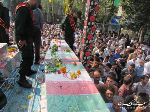 دردانه های دست بسته وارد مینودشت شدند