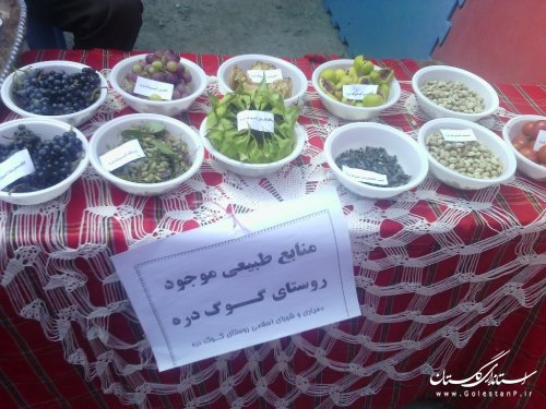 اولین جشنواره پسته در روستای قازانقایه بخش مرکزی مراوه تپه برگزار گردید