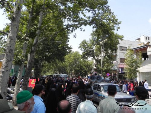 پرچم سبز امام رضا (ع) وارد مینودشت شد
