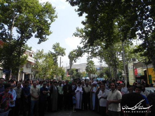 پرچم سبز امام رضا (ع) وارد مینودشت شد