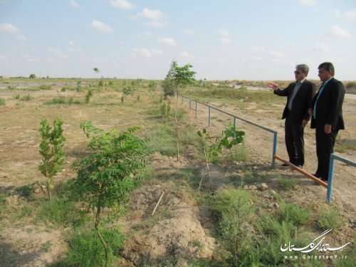 بازدید میدانی فرماندار از پروژه درختکاری، احداث گارد ریل و مرمت پیست سوار کاری