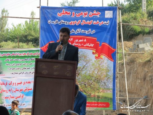 جشنواره صنایع دستی و ثبت ملی درخت گردوی فارسیان برگزار شد