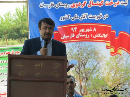 جشنواره صنایع دستی و ثبت ملی درخت گردوی فارسیان برگزار شد