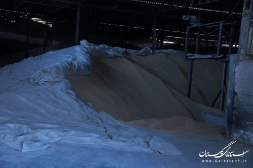 بازدید فرماندار مرکز استان از کارخانه تولید آرد