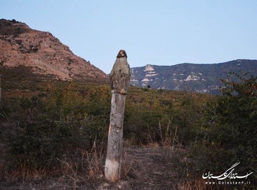 گنبد تاتا، میراثی زخم خورده از تیشه حفاران در قلب دهستان زاوه کوه کلاله