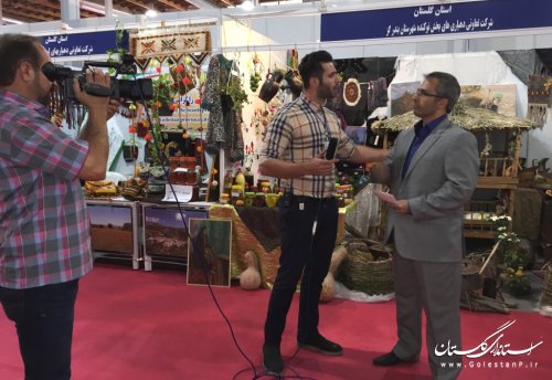 بازدید مدیرکل آموزش فنی وحرفه ای گلستان از غرفه های نمایشگاه دستاوردهای توانمندیهای روستائیان( بمناسبت روز روستا)
