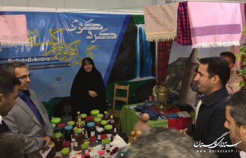 بازدید مدیرکل آموزش فنی وحرفه ای گلستان از غرفه های نمایشگاه دستاوردهای توانمندیهای روستائیان( بمناسبت روز روستا)