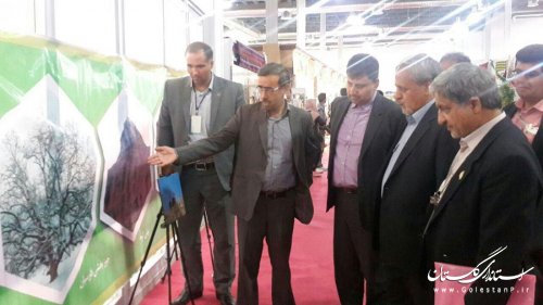 بازدید فرماندار گالیکش از غرفه دهیاری های شهرستان 