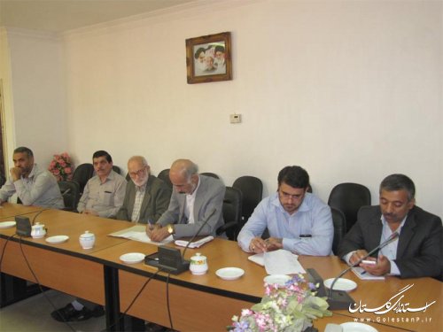 طرح یکسان سازی رنگ کیسه های آرد دولتی اقدامی در راستای کاهش تخلفات است