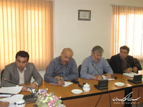 طرح یکسان سازی رنگ کیسه های آرد دولتی اقدامی در راستای کاهش تخلفات است