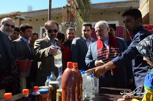 بهره برداری از پروژه بهسازی بافت با ارزش روستای فارسیان