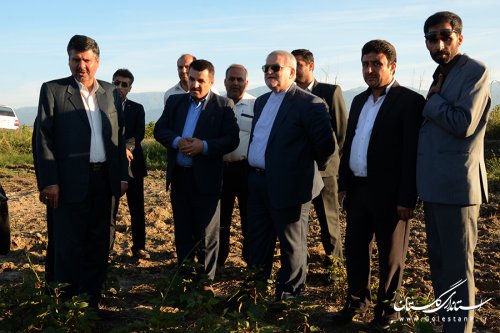 صدای پنبه کاران گلستان را به رییس جمهور می رسانم