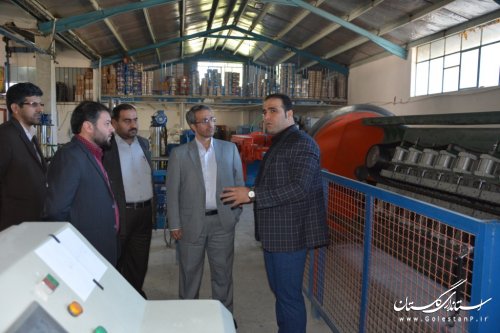 بازدید مدیرکل آموزش فنی وحرفه ای از کارخانه تولیدی بافه سیم گلستان