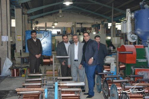 بازدید مدیرکل آموزش فنی وحرفه ای از کارخانه تولیدی بافه سیم گلستان