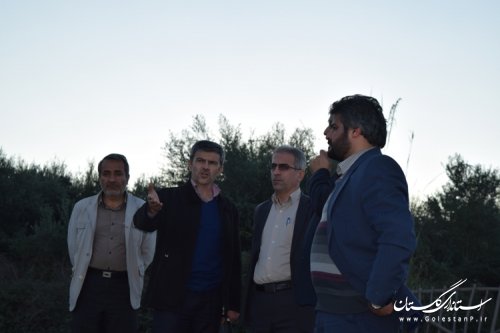بازدید فرماندار از طرحهای جنگلداری و آبخیزداری کردکوی