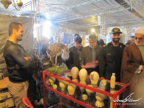 نمایشگاه دستاوردهای اقتصاد مقاومتی و توانمند سازی در بندرگز افتتاح شد