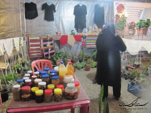 نمایشگاه دستاوردهای اقتصاد مقاومتی و توانمند سازی در بندرگز افتتاح شد