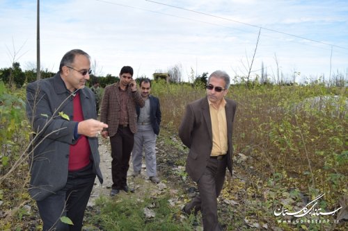 بازدید فرماندار کردکوی از یک مرکز تولید نهال