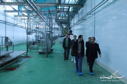 بازدید فرماندار گرگان از کشتارگاه صنعتی اینچه برون