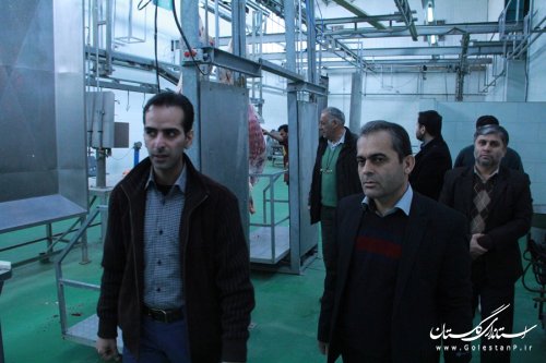 بازدید فرماندار گرگان از کشتارگاه صنعتی اینچه برون