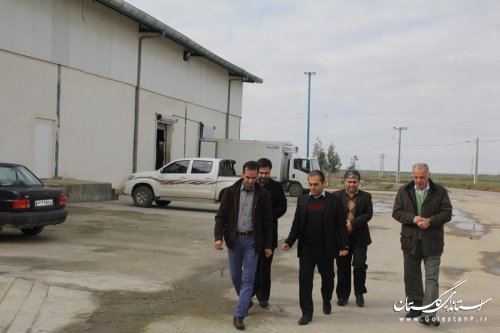 بازدید فرماندار گرگان از کشتارگاه صنعتی اینچه برون
