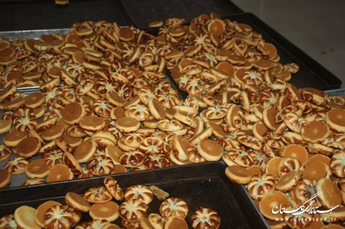 افتتاح و آغاز عملیات اجرایی 148 پروژه دهه فجر در علی آباد