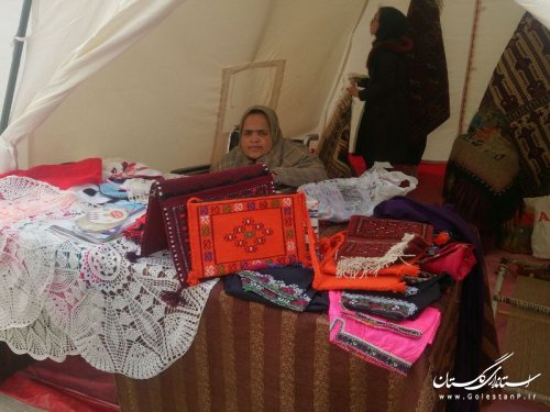 برپایی نمایشگاه توانمندیهای بانوان شهرستان آق قلا 