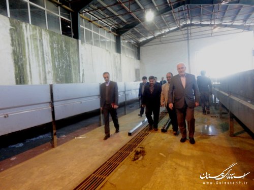 بازدید معاون استاندار از شهرک صنعتی علی آباد کتول