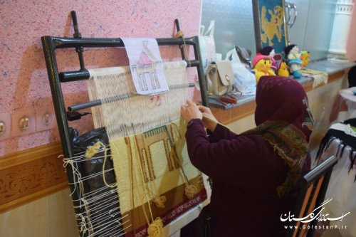 بازدید فرماندار از نمایشگاه یک روزه مشاغل خانگی شهرکردکوی