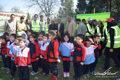 غرس نهال توسط اعضای شورای اداری شهرستان کردکوی 