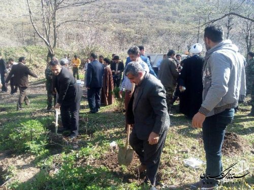 کاشت درخت باحضور فرماندار و مسئولین ادارات شهرستان علی آباد کتول در روز درختکاری